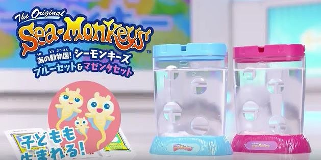 小学生低学年ちょっとしたプレゼント